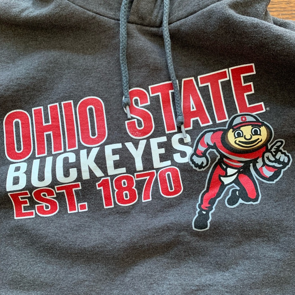 Ohio State Buckeyes Hoodie - Picture 4 of 10